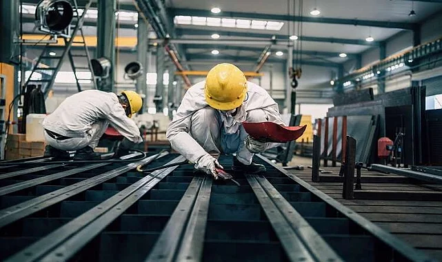 Sarıçam Kokusuz İlaçlama